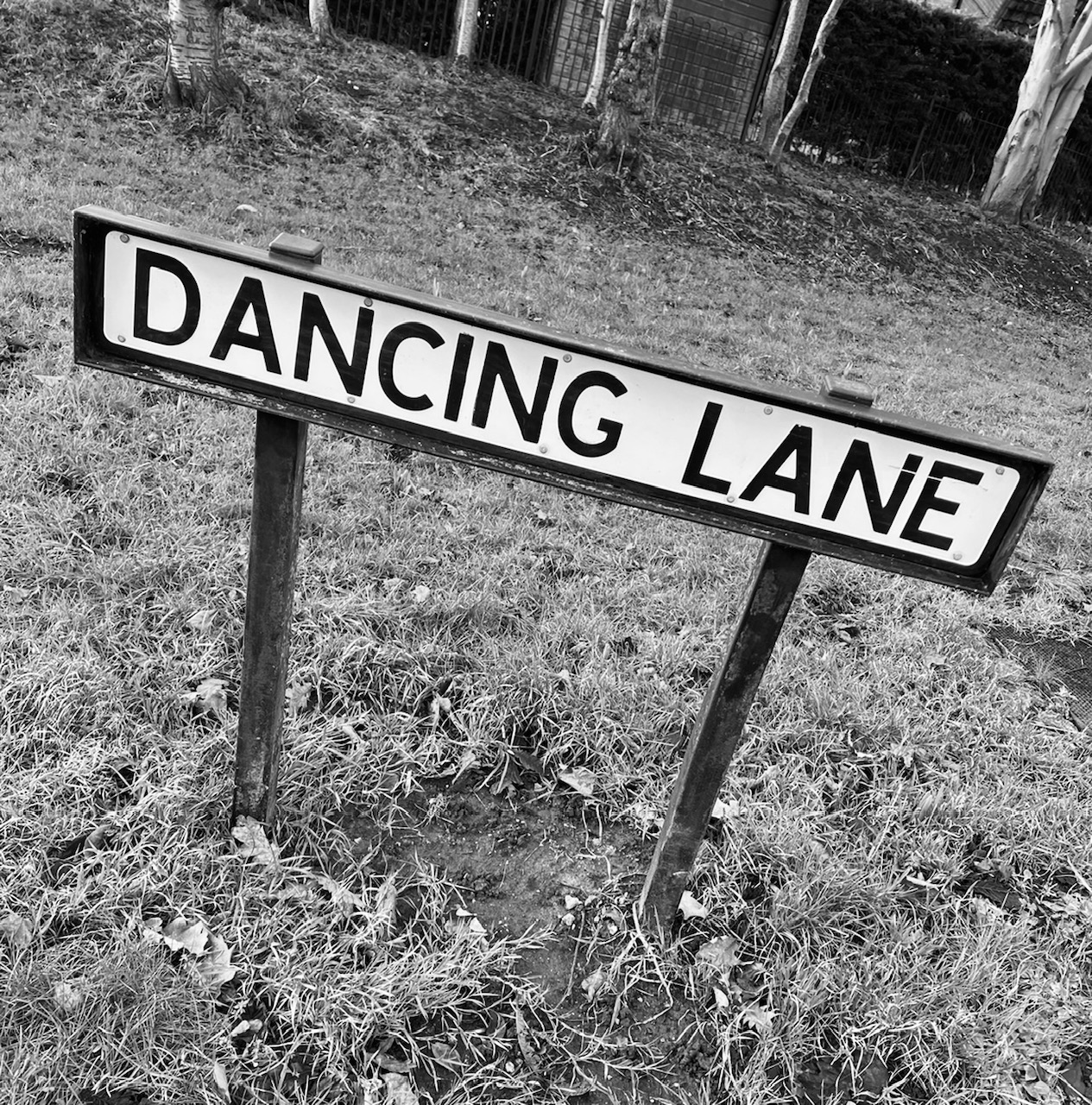 Dancing Lane - Browns Leaflets Hull