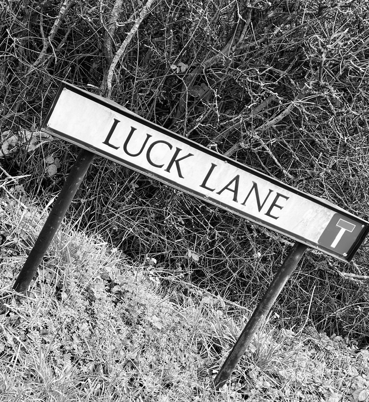 Luck Lane - Browns Leaflets Hull