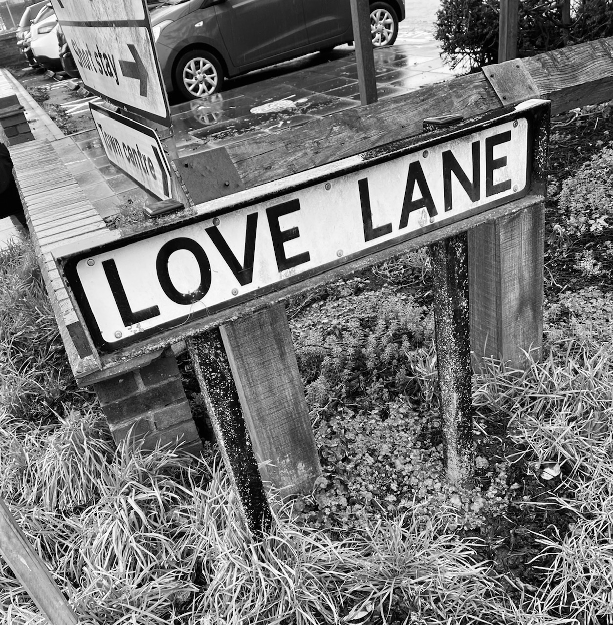 Love Lane - Browns Leaflets